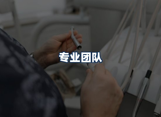 专业团队